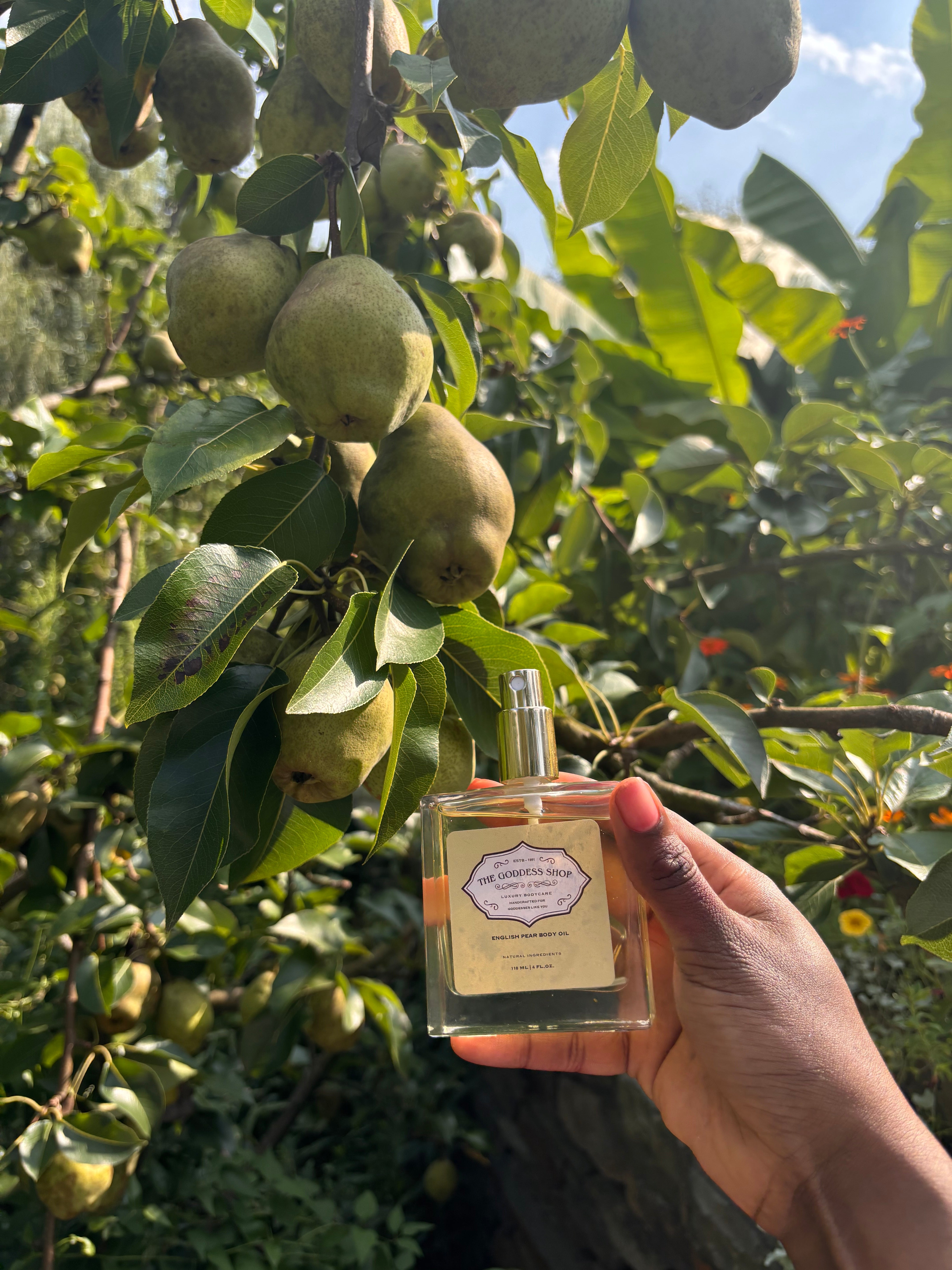 English Pear and Freesia Body Oil