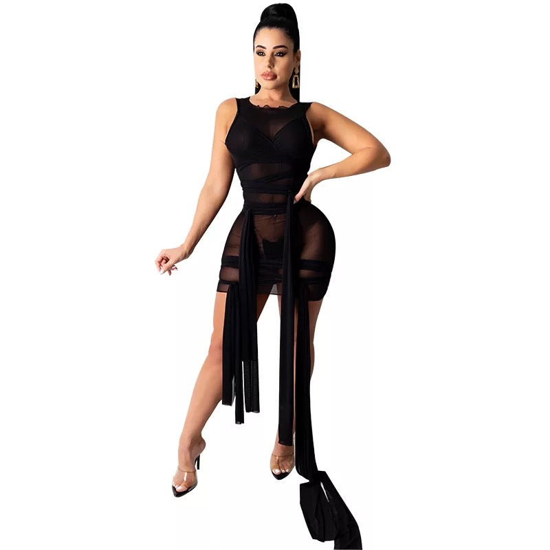 Black Dress Sexy Cover-Up Transparent Curvy Sizes Included